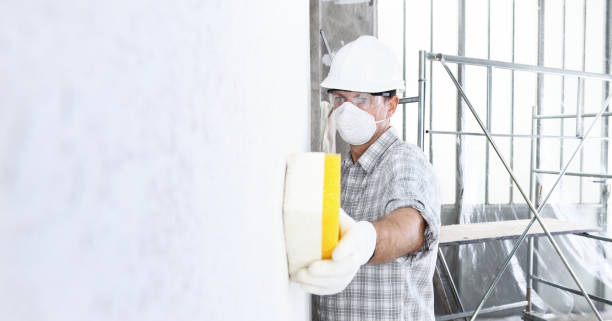 Best Attic Mold Removal  in Shenandoah, LA