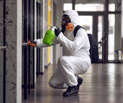 Best Biohazard Mold Removal  in Shenandoah, LA